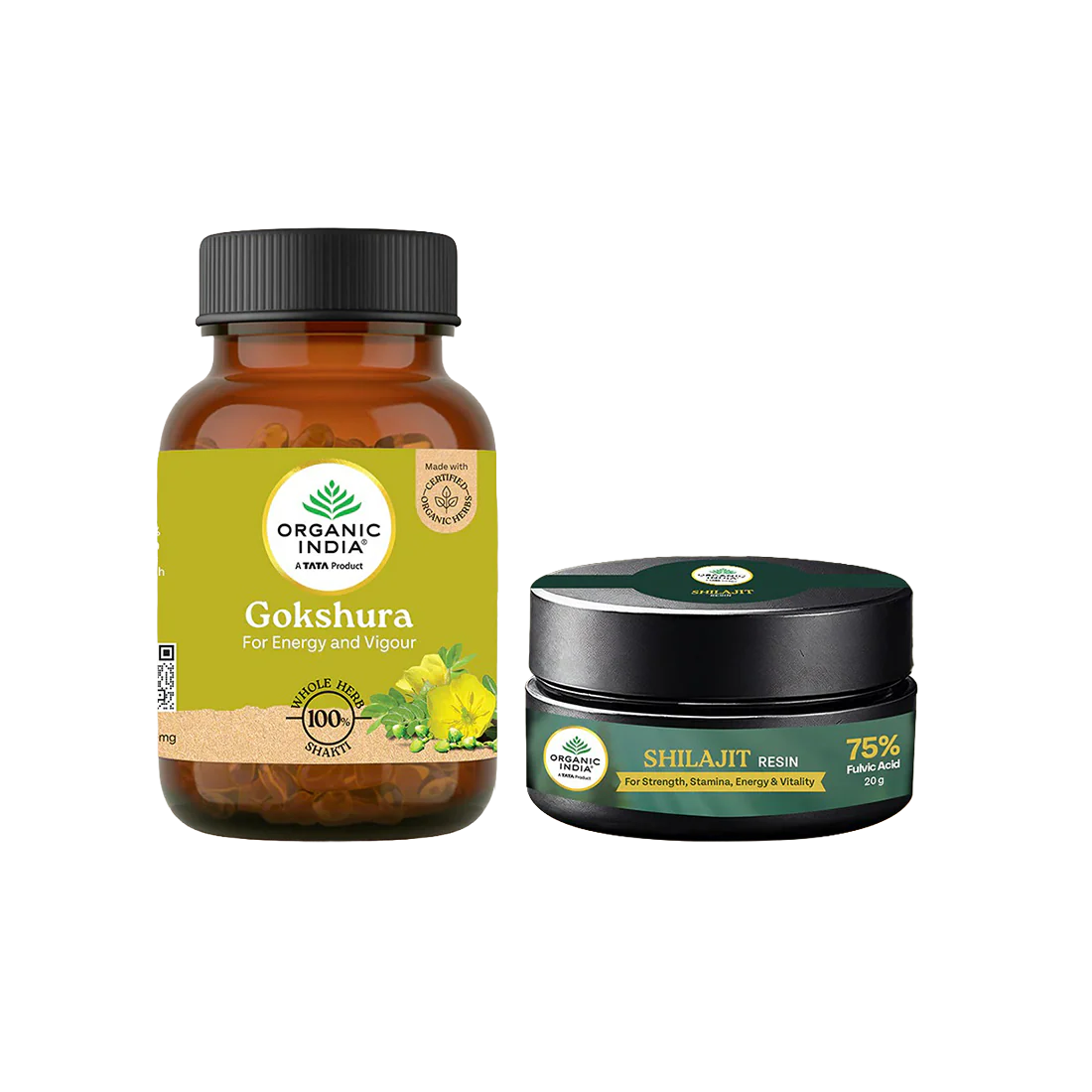 New Launches